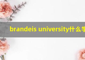 brandeis university什么学校